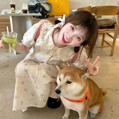 爱情万人迷